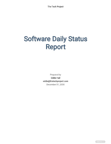 software daily status report