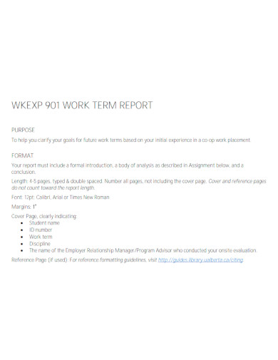 standard work term report