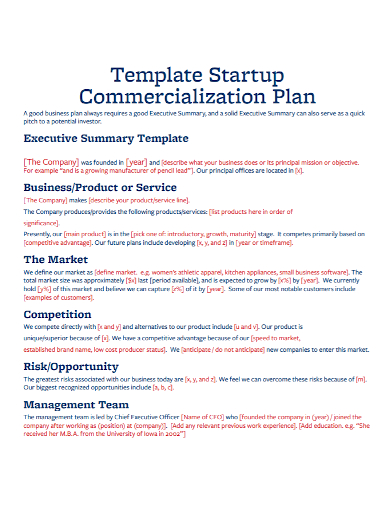 startup commercialization executive summary