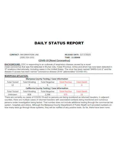 editable daily status reports
