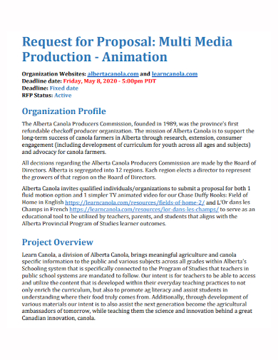 animation production proposal