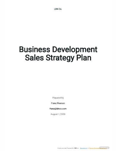 business development sales strategy plan template