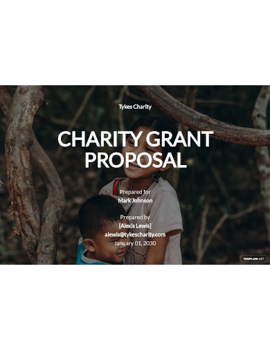 charity grant proposal