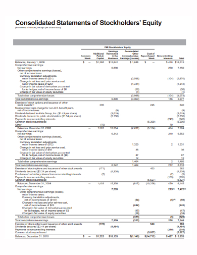 consolidated statement of stockholders equity