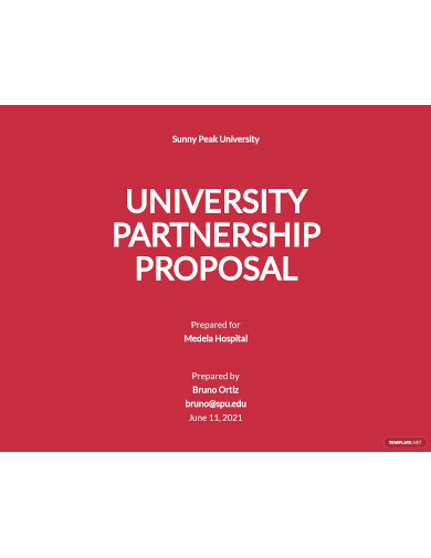 editable university partnership proposal