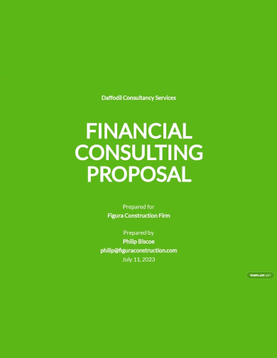 financial consulting proposal template