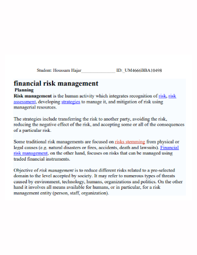 financial risk management plan