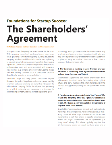 foundation startup shareholder agreement