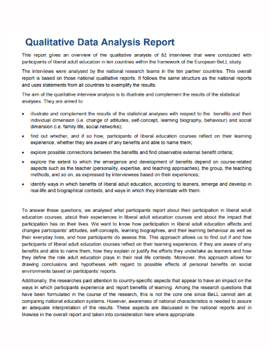 qualitative data analysis report
