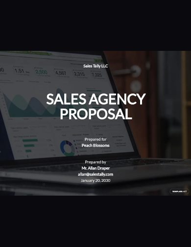 sales agency proposal template