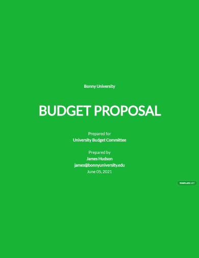university budget proposal template