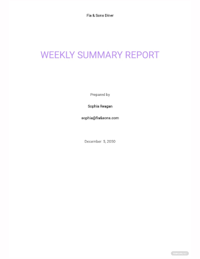 weekly summary report template