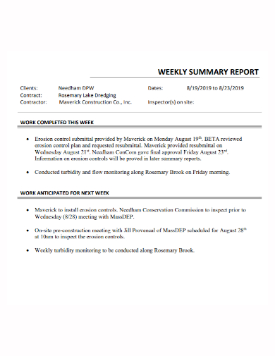 weekly summary report