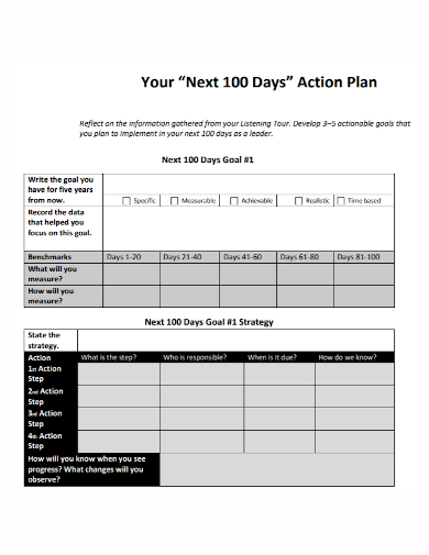 100 day goals action plan