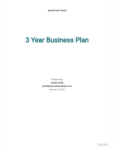 3 year business plan template