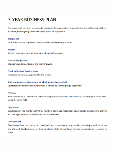 3 year business plan