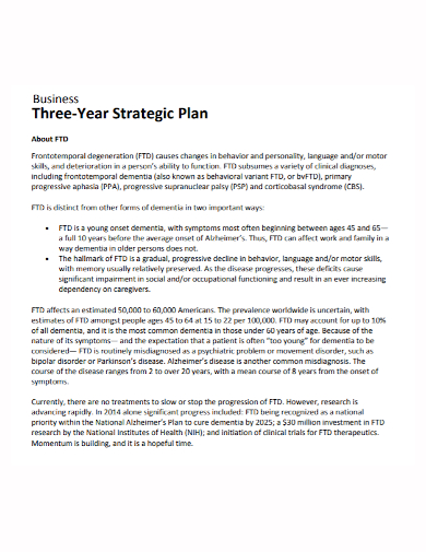 3 year strategic business plan