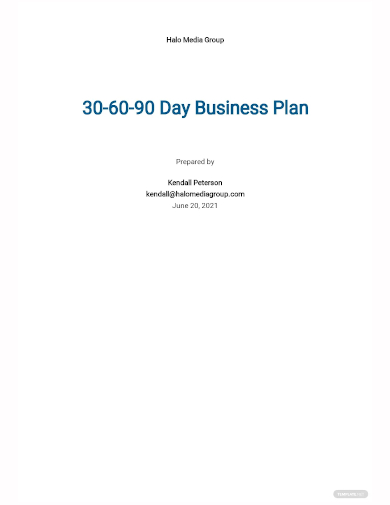 30 60 90 day business plan template