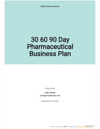 30 60 90 day pharmaceutical business plan template
