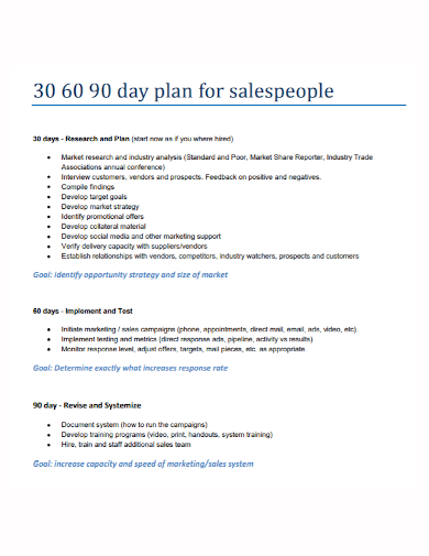 30 60 90 day research sales plan