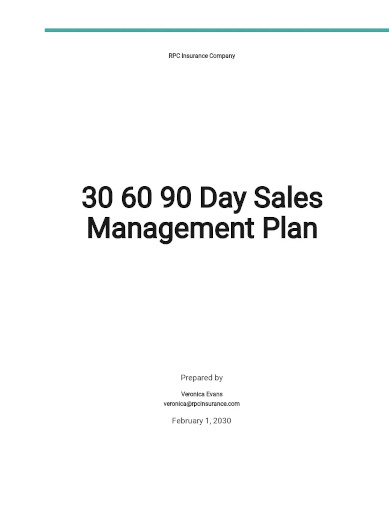 30 60 90 day sales management plan