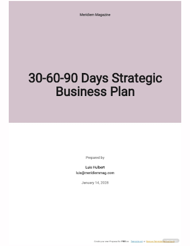 30 60 90 day strategic business plan template