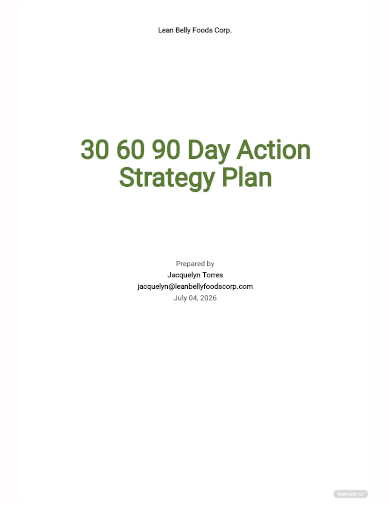 30 60 90 days action plan strategy template