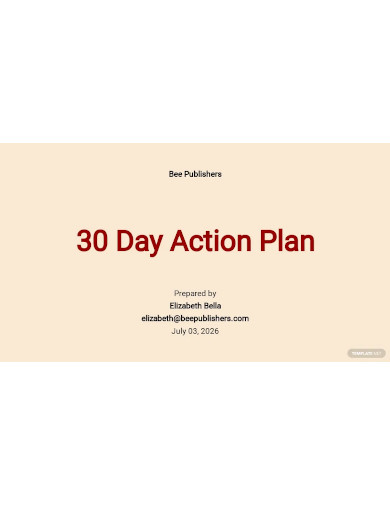 30 day action plan