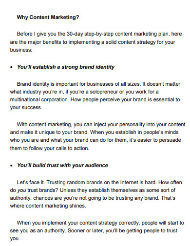30 day content marketing plan1