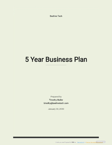 5 year business plan template