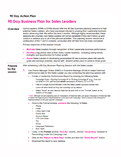 90 day sales leaders action plan