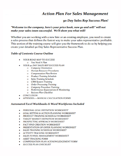 90 day sales management action plan