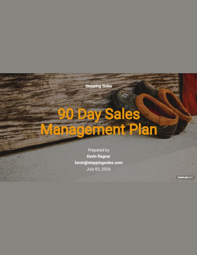 90 day sales management plan template