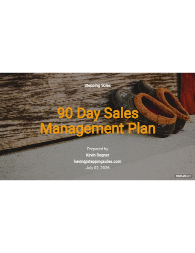 90 days sales management plans