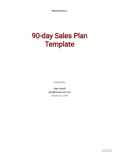 90 day sales plan template