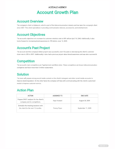 account growth plan template