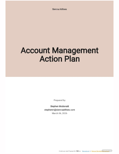 account management action plan template