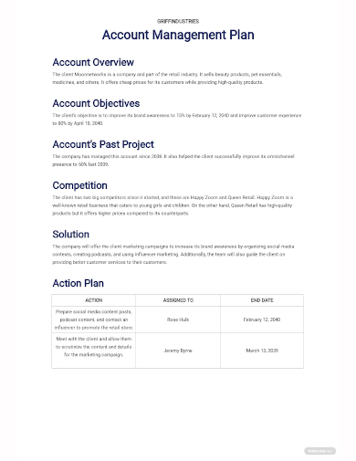 account management plan template
