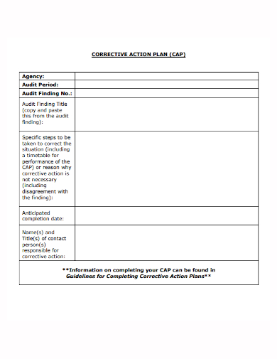 agency audit corrective action plan