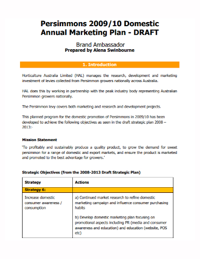 annual brand ambassador marketing plan