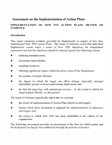 assessment implementation action plan