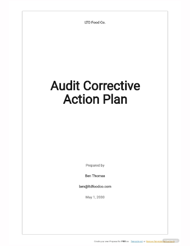 audit corrective action plan template