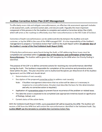 audit corrective action plan