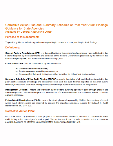 audit finding corrective action plan