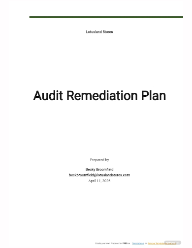 audit remediation plan template