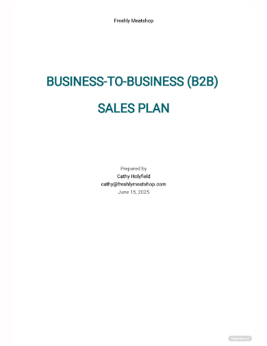 b2b sales plan template