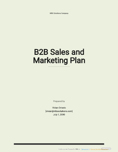 b2b sales and marketing plan template