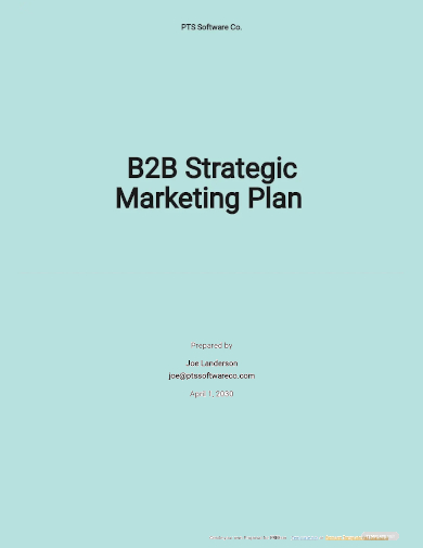b2b strategic marketing plan template