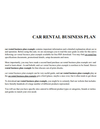 basic car rental business plan