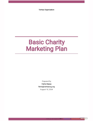 basic charity marketing plan template